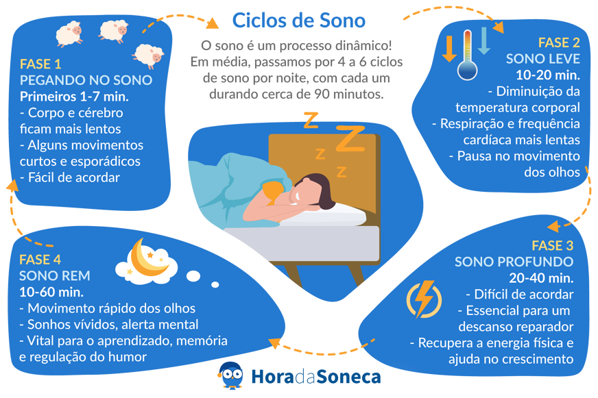 Ciclo do sono